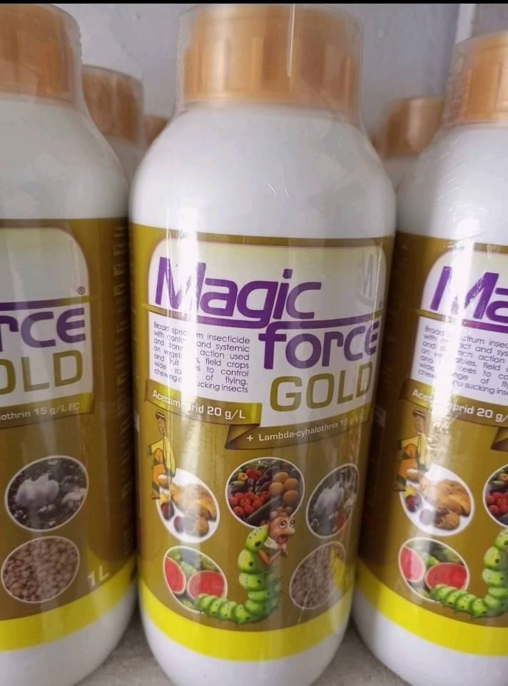 Magic Force Gold - Ceda Agro